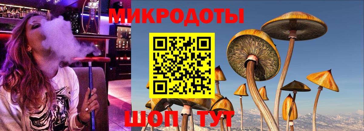 Галлюциногенные грибы Psilocybine cubensis  Вход с VPN  Можга 