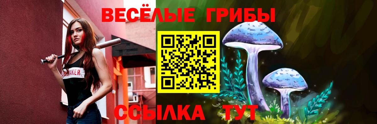 Псилоцибиновые грибы Magic Shrooms Можга